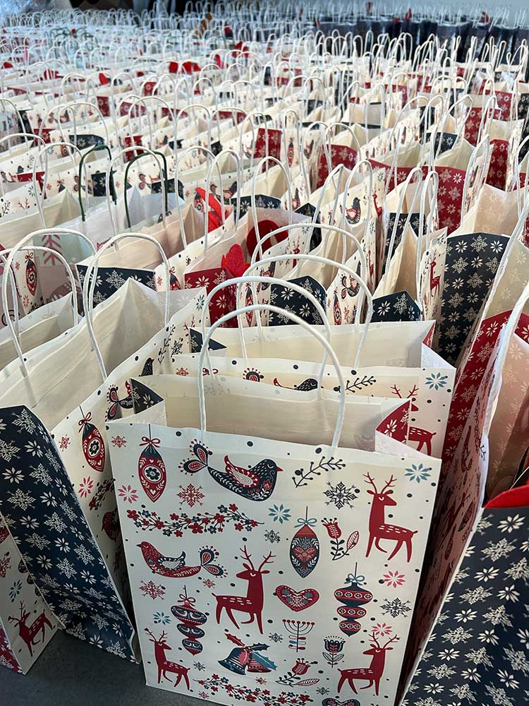 Goodies Bag de Navidad